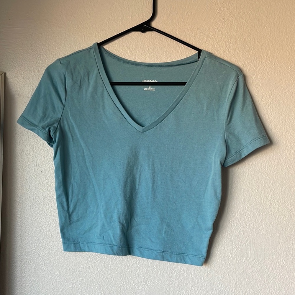 Wild Fable blue crop